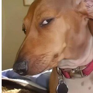 CANCELLED: bundles under $15